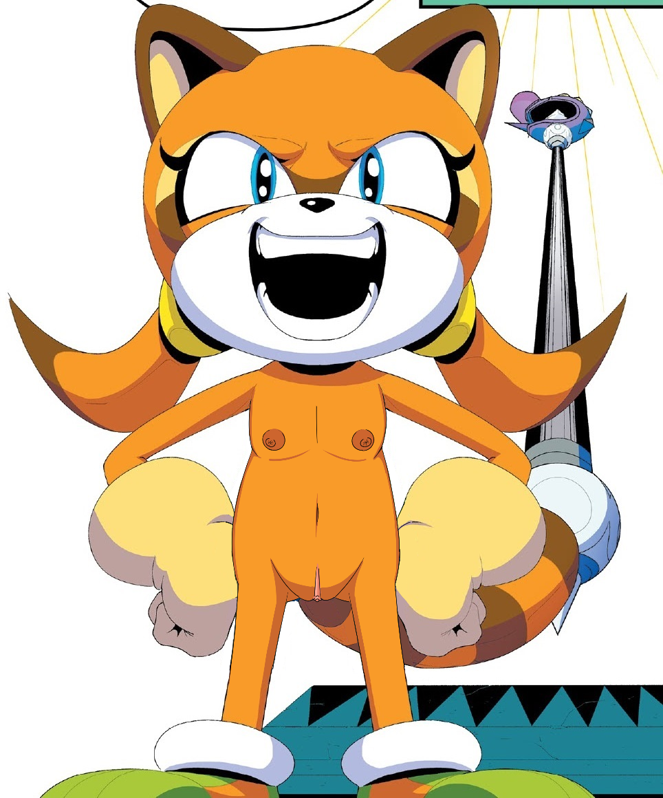 Sonic (Series) Rule 34 Image