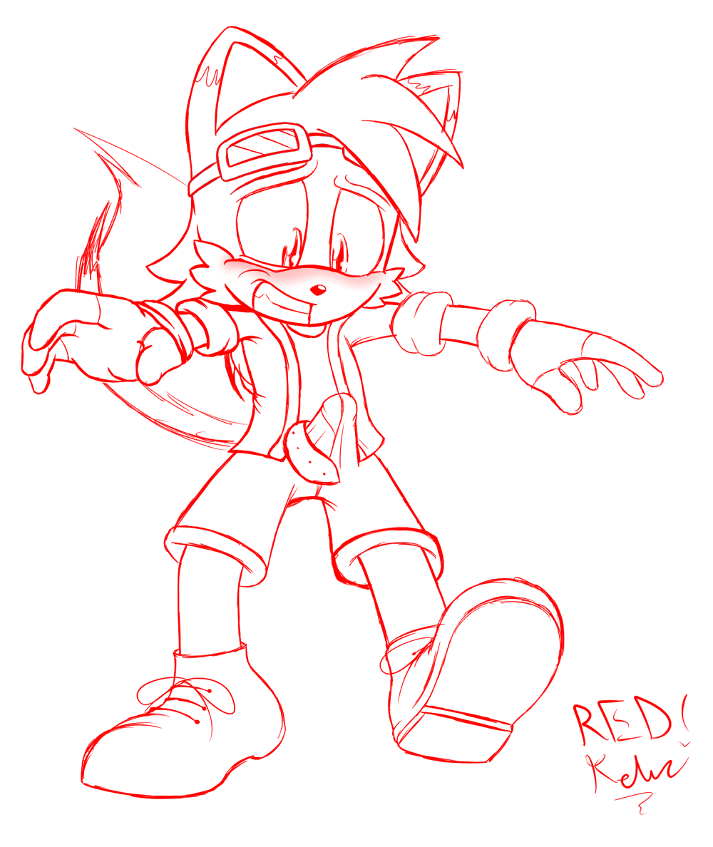 Fan Character (Sonic (Series)) Rule 34 Image