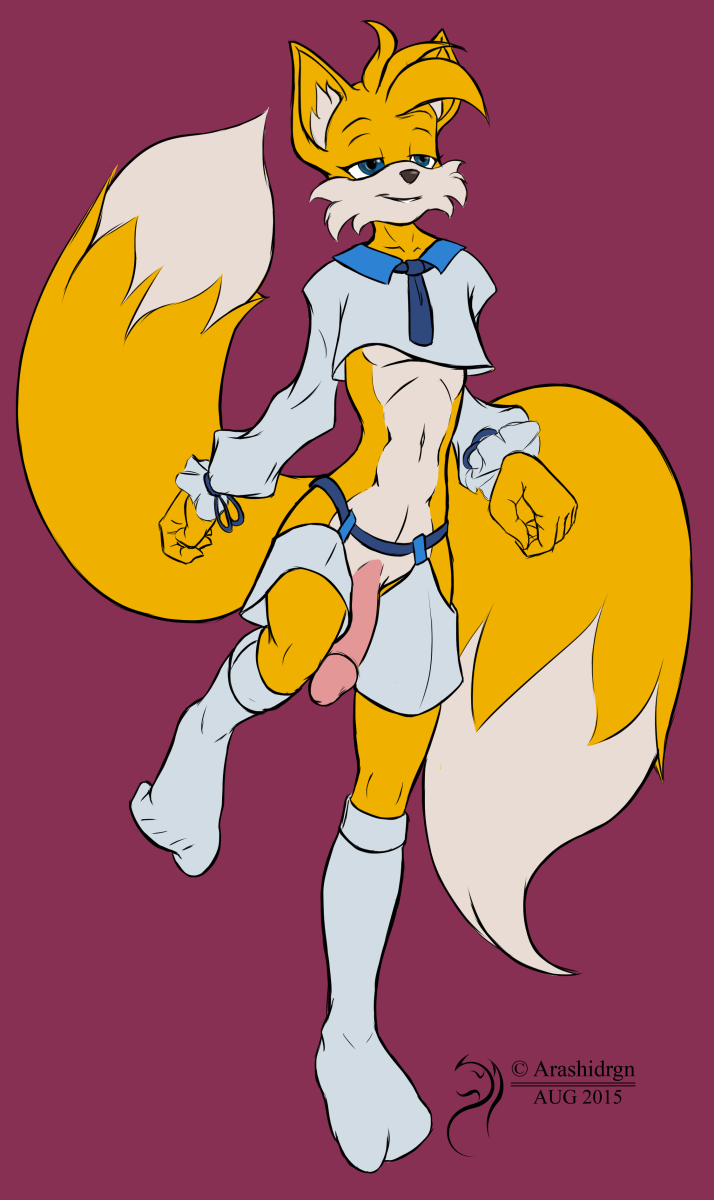 Tails The Fox (Sonic (Series)) Rule 34 Image