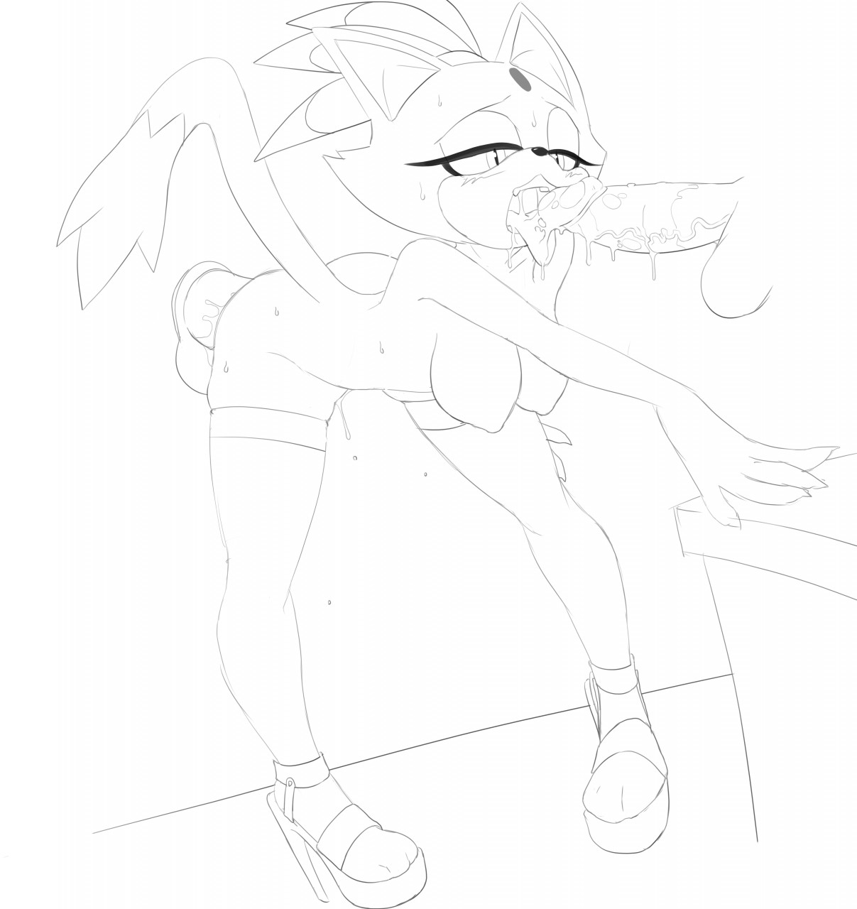 Blaze The Cat (Sonic (Series)) Rule 34 Image