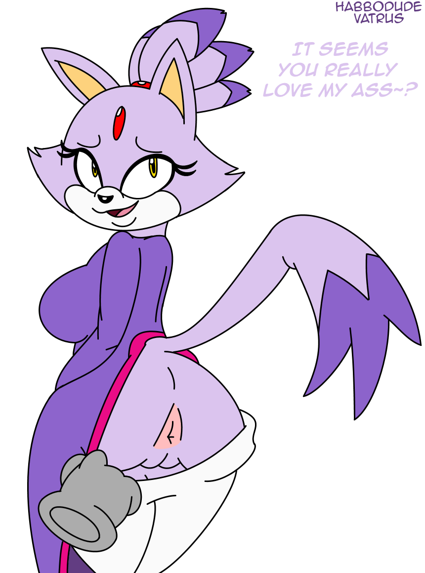 Blaze The Cat (Sonic (Series)) Rule 34 Image
