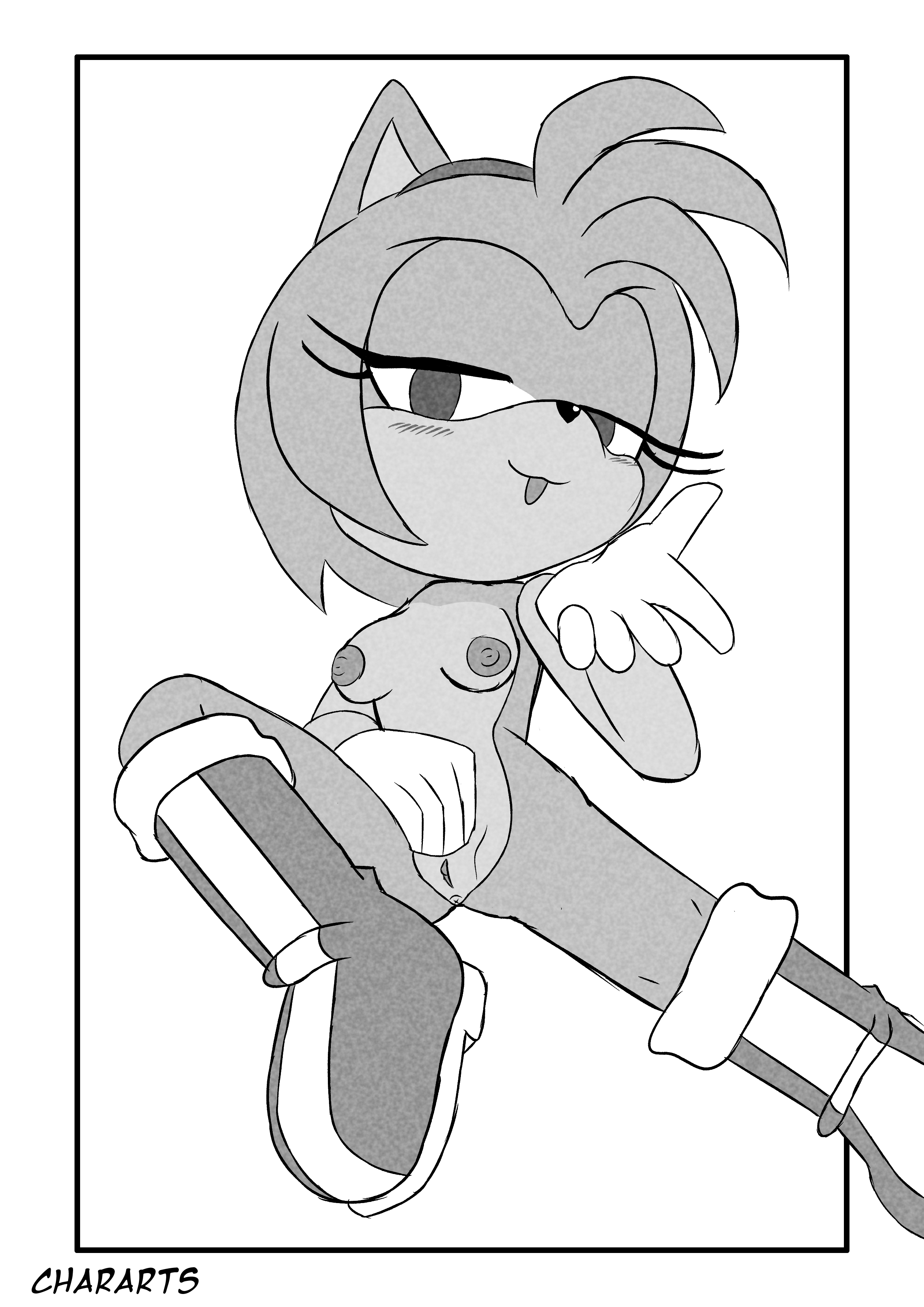Sonic The Hedgehog (Series) Rule 34 Image