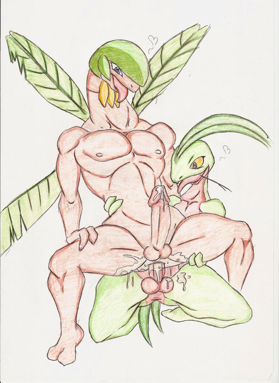 Nintendo Rule 34 Image