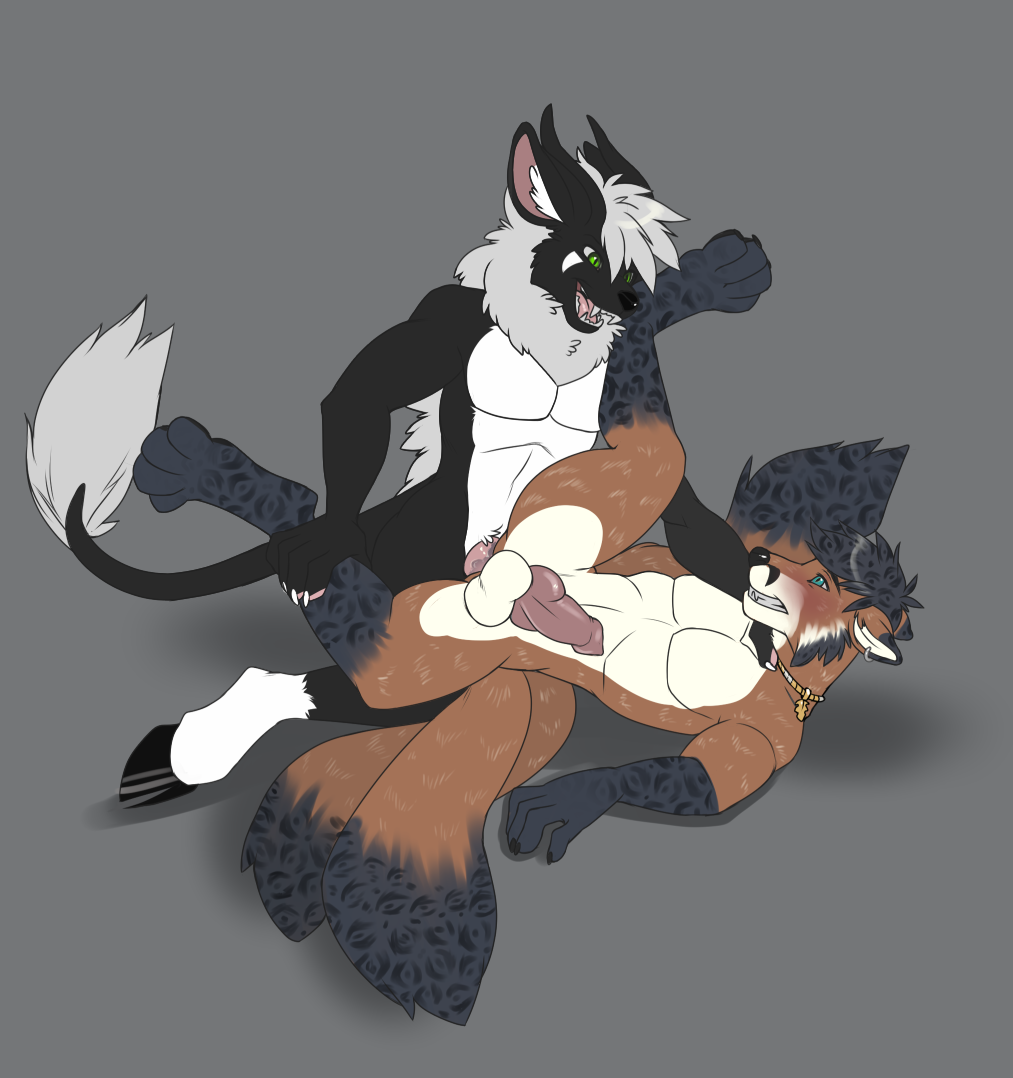 Anal Rule 34 Image