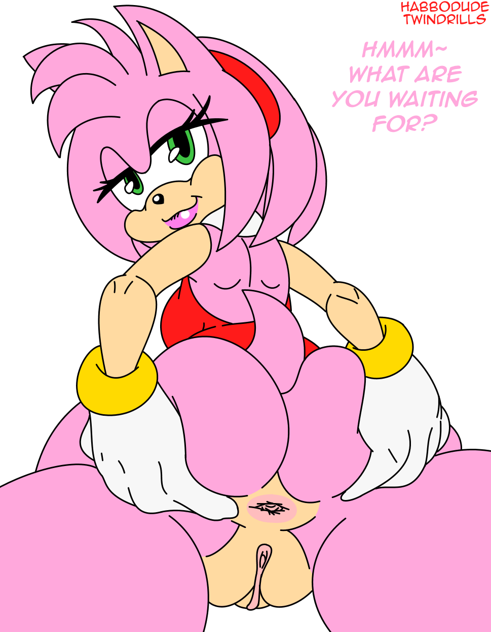 Amy Rose (Sonic (Series)) Rule 34 Image