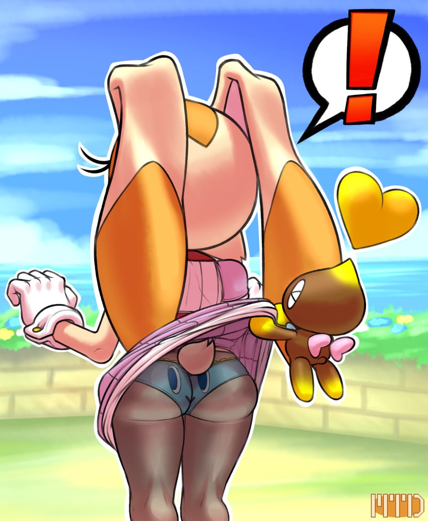 Chao (Sonic) Rule 34 Image