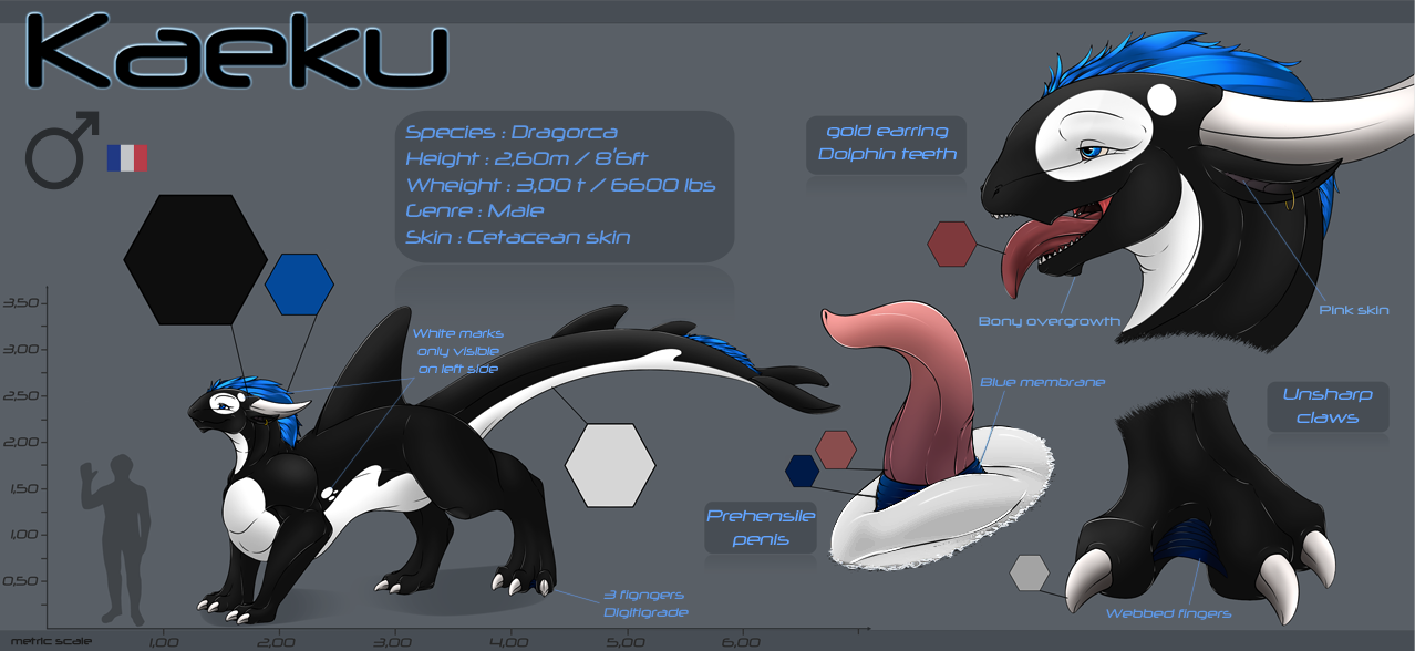 Cetacean Rule 34 Image