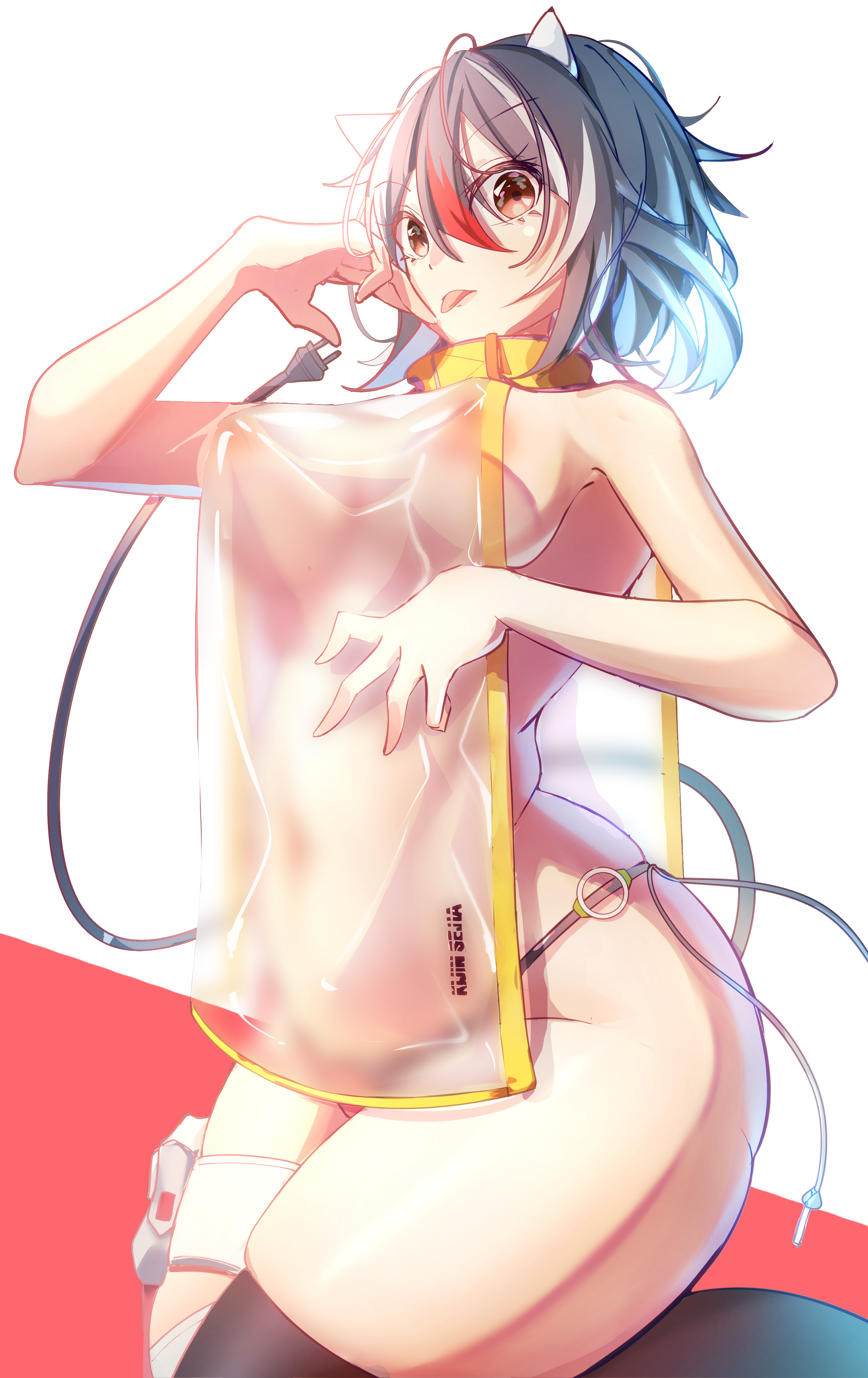 Seija Kijin (Touhou) Rule 34 Image