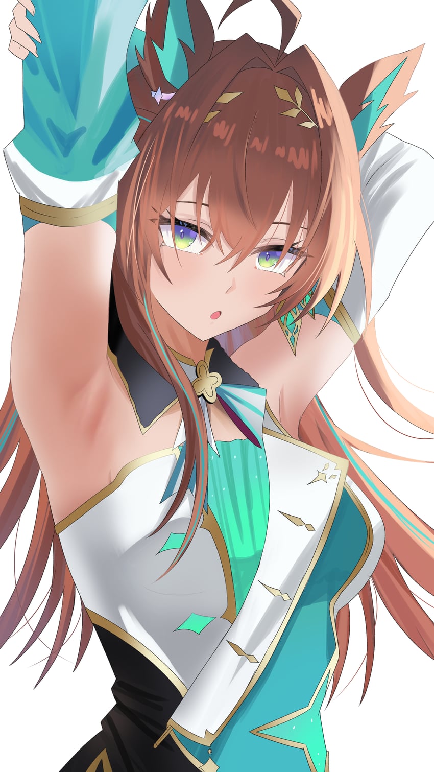 Umamusume Rule 34 Image
