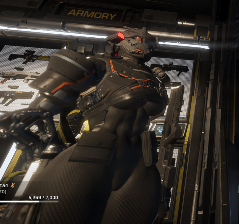 Helldiver (Helldivers) Rule 34 Image