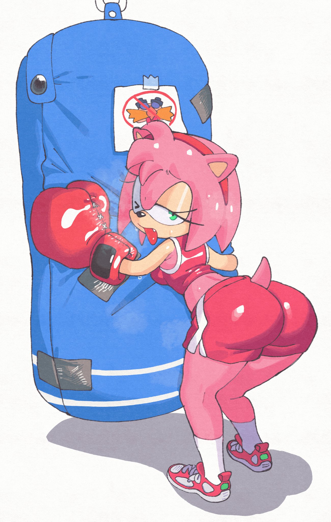 Amy Rose (Sonic (Series)) Rule 34 Image