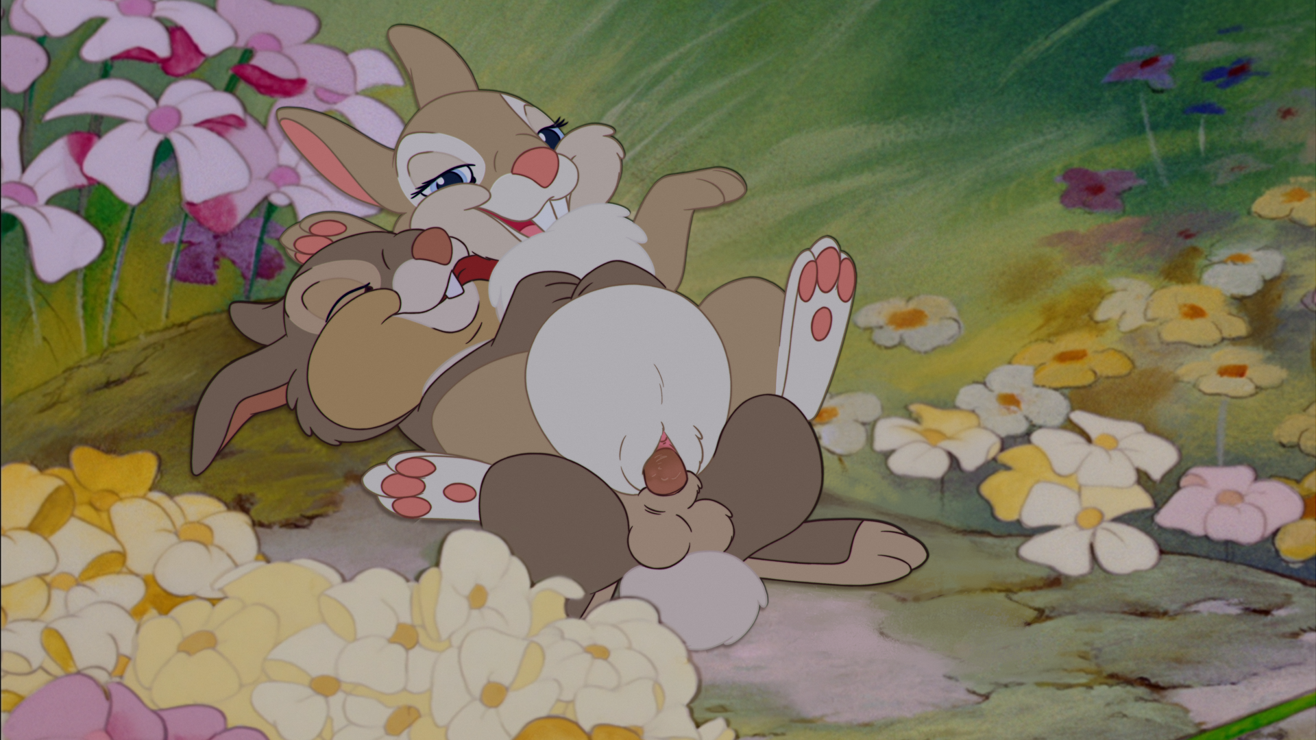 Thumper (Bambi (Film)) Rule 34 Image