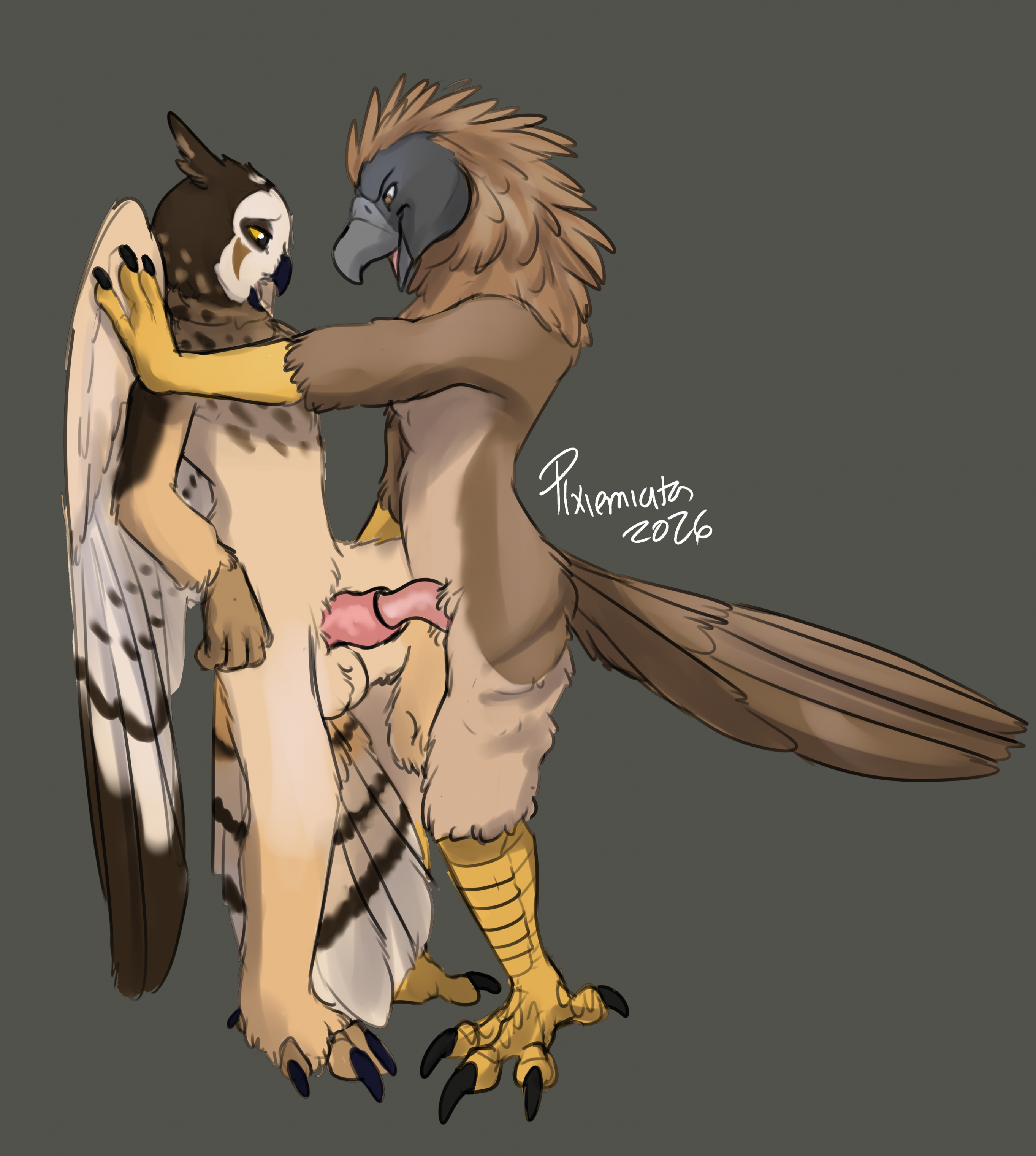 Pirate Eagle Rule 34 Image