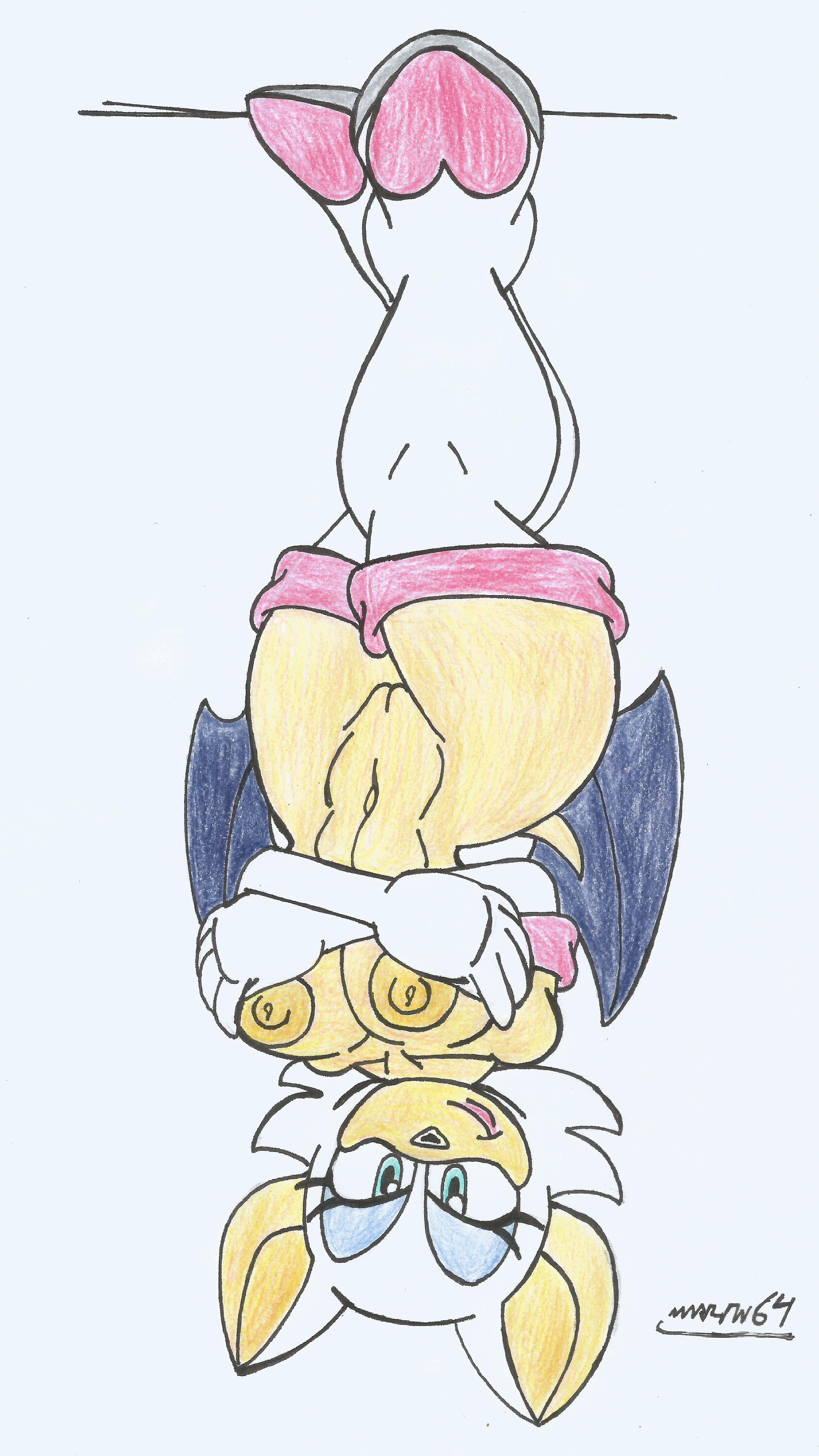 Rouge The Bat (Sonic (Series)) Rule 34 Image