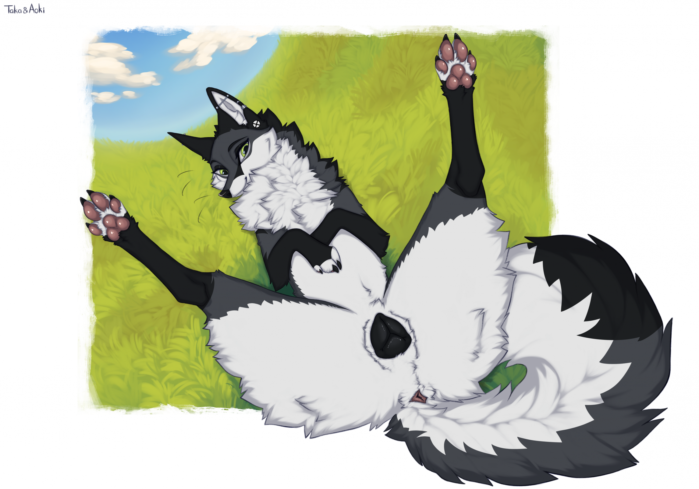 Taka Fox Rule 34 Image
