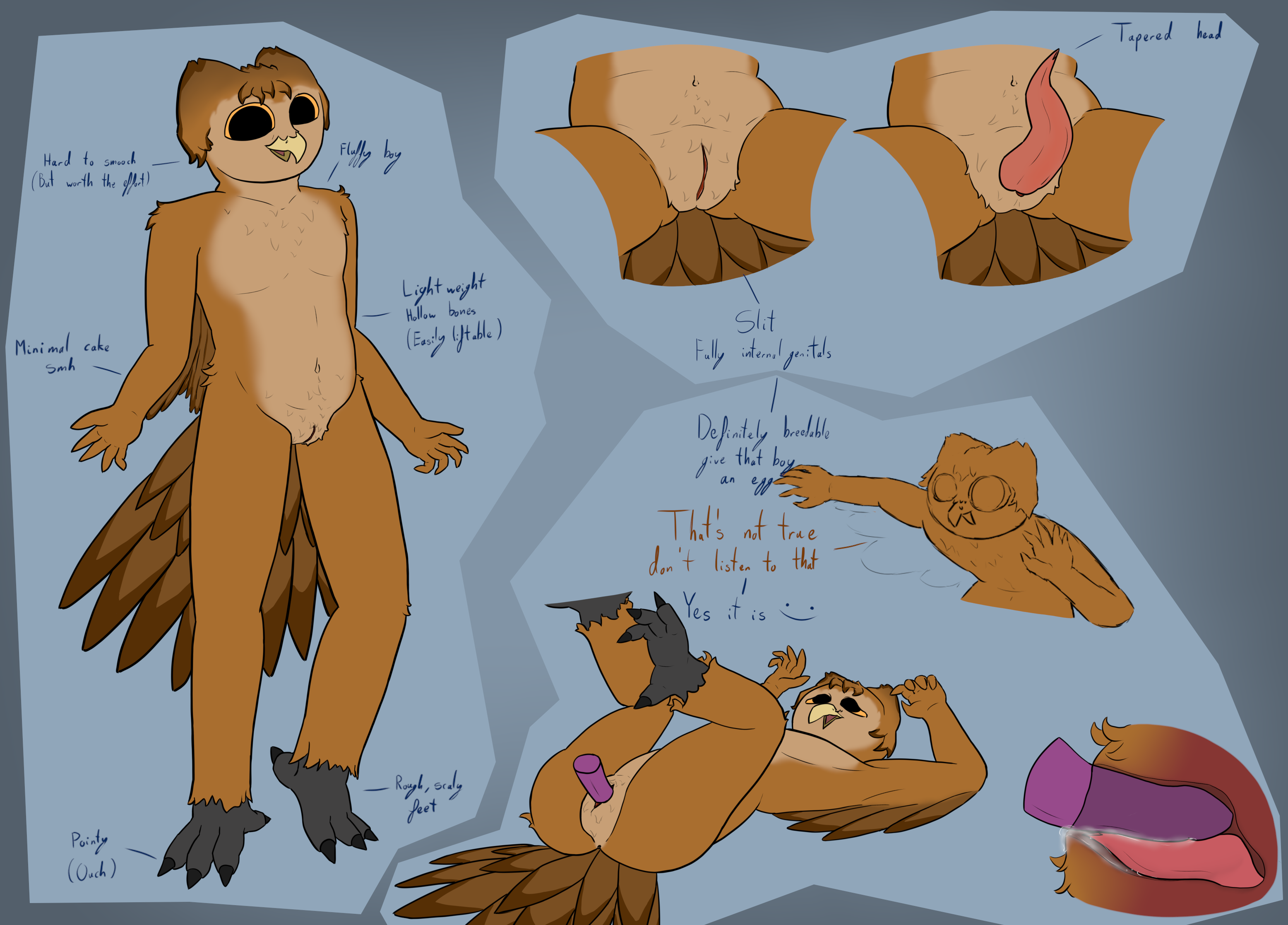 Apollo (Greyfeather) Rule 34 Image