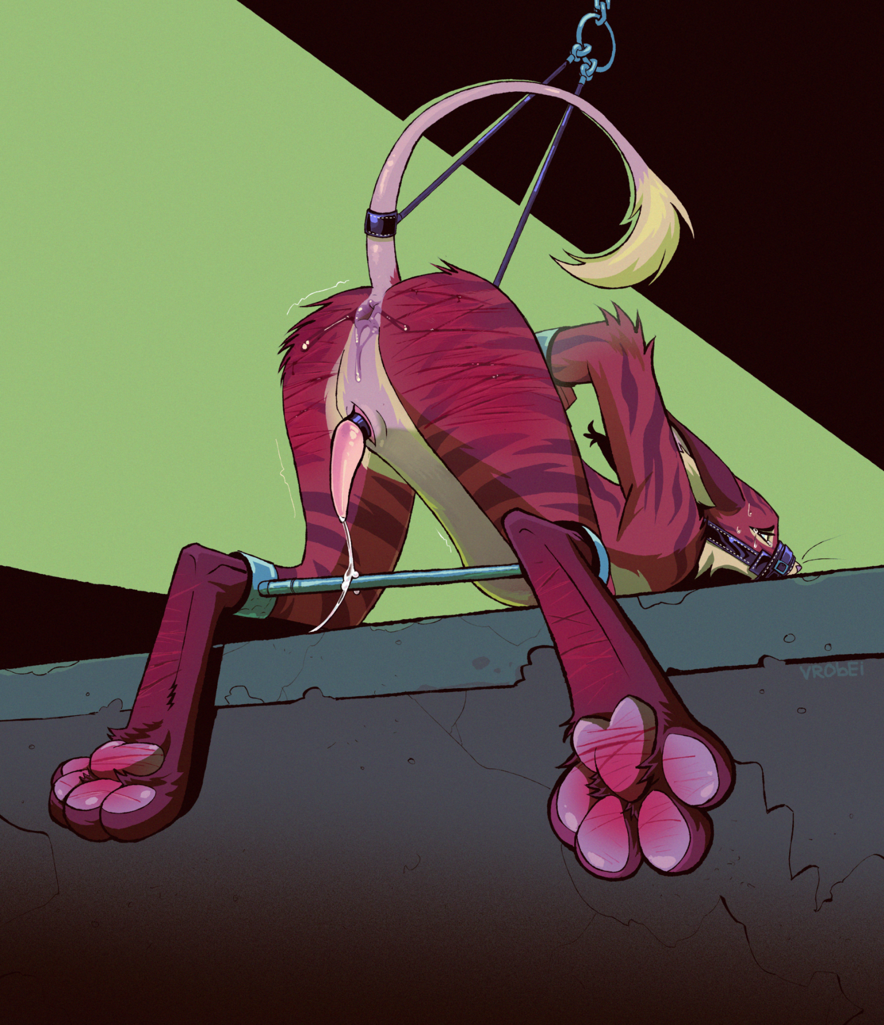 Muzzle (Object) Rule 34 Image