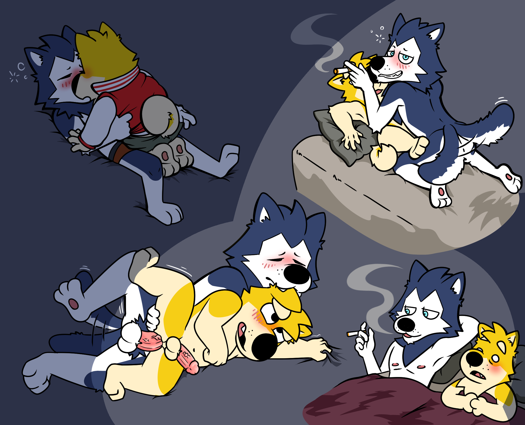 Bau Husky Rule 34 Image