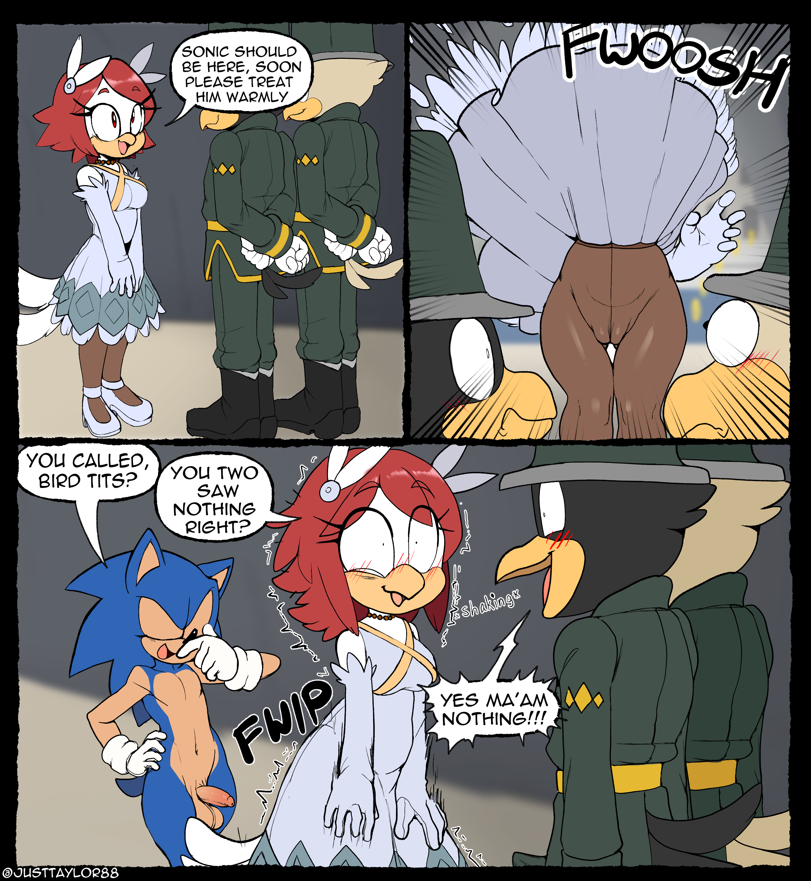 Sonic The Hedgehog (Princess Elise The Third) Rule 34 Image