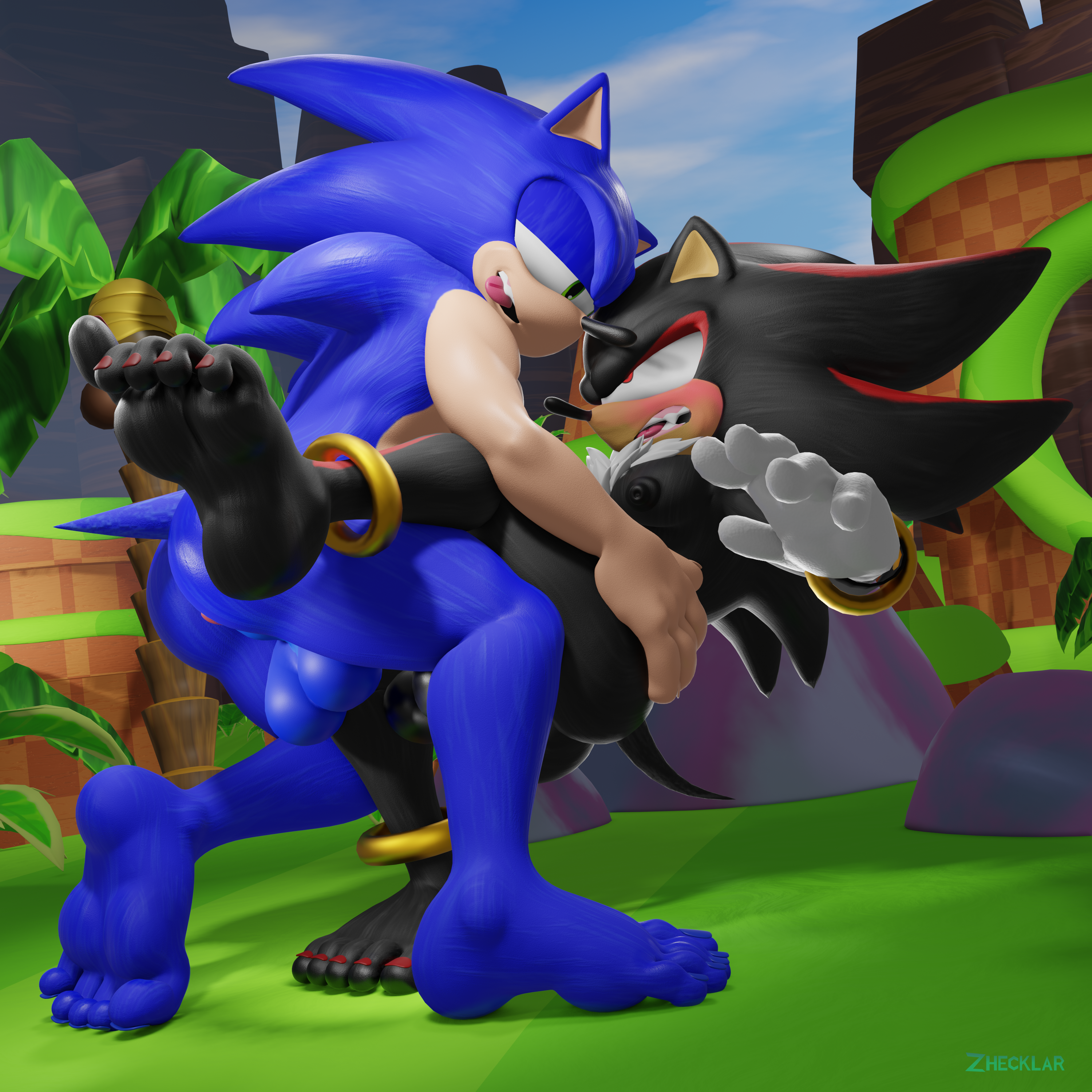 Shadow The Hedgehog (Sega) Rule 34 Image
