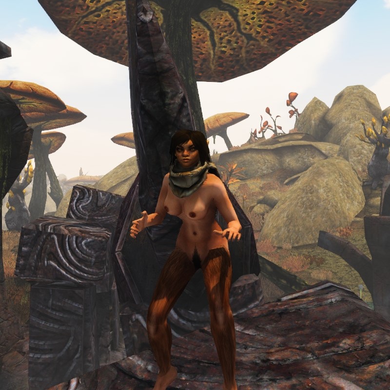 Player Character (Morrowind) Rule 34 Image