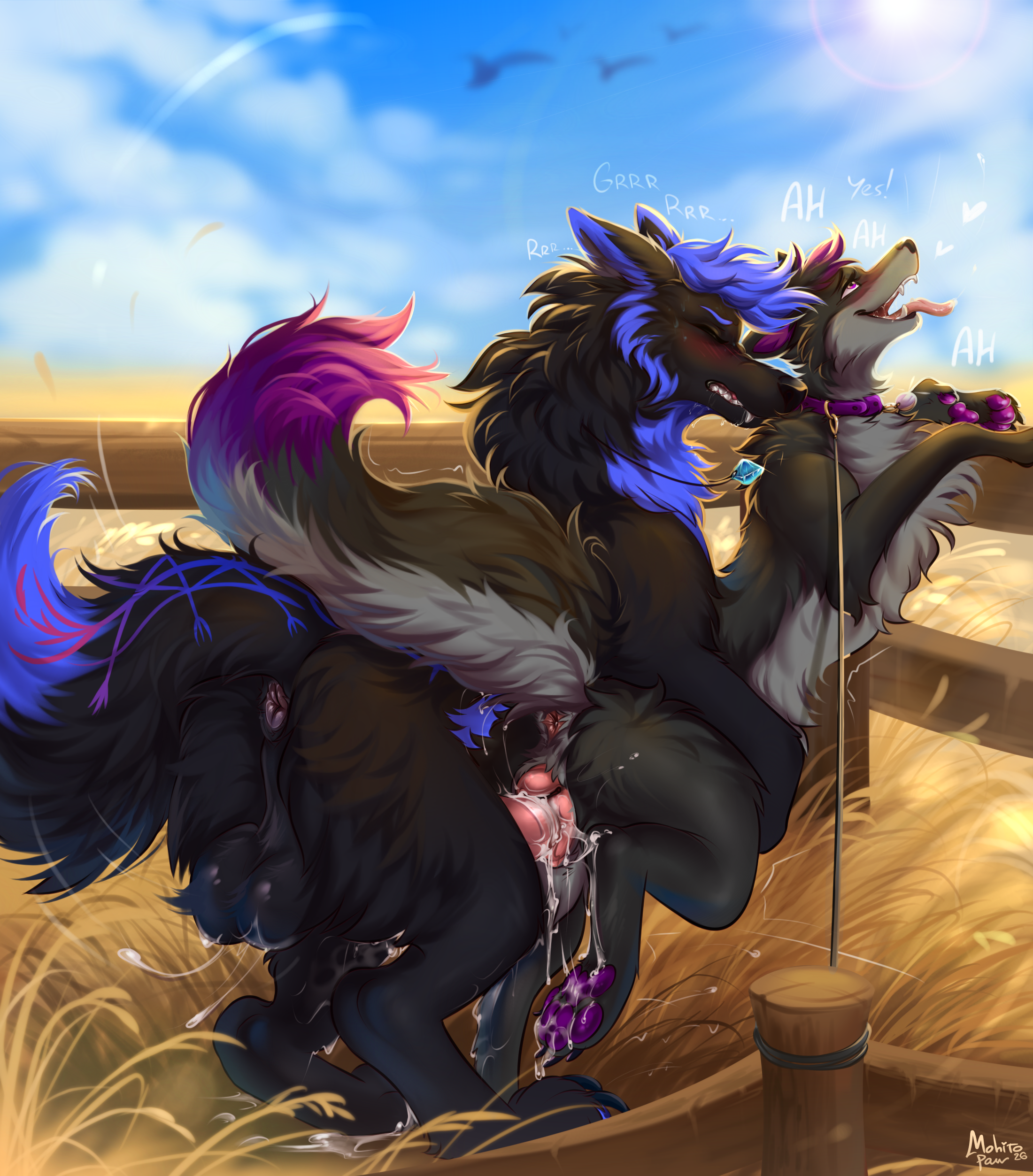 Foxxsnow Rule 34 Image
