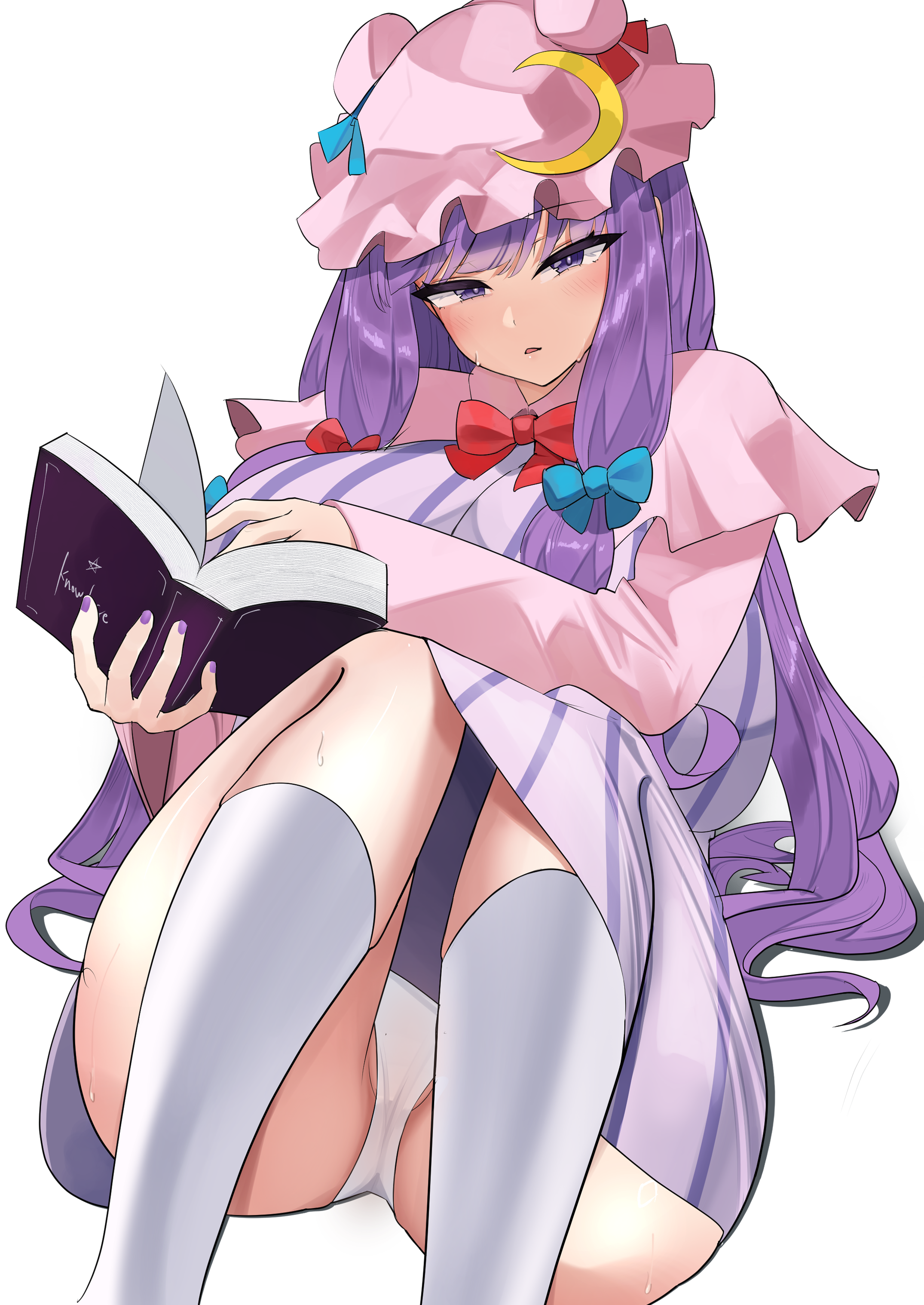 Patchouli Knowledge (Touhou) Rule 34 Image