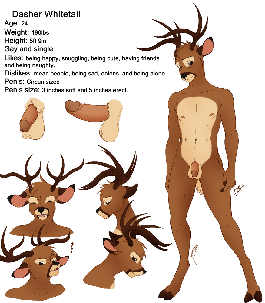 Dasher Whitetail Rule 34 Image