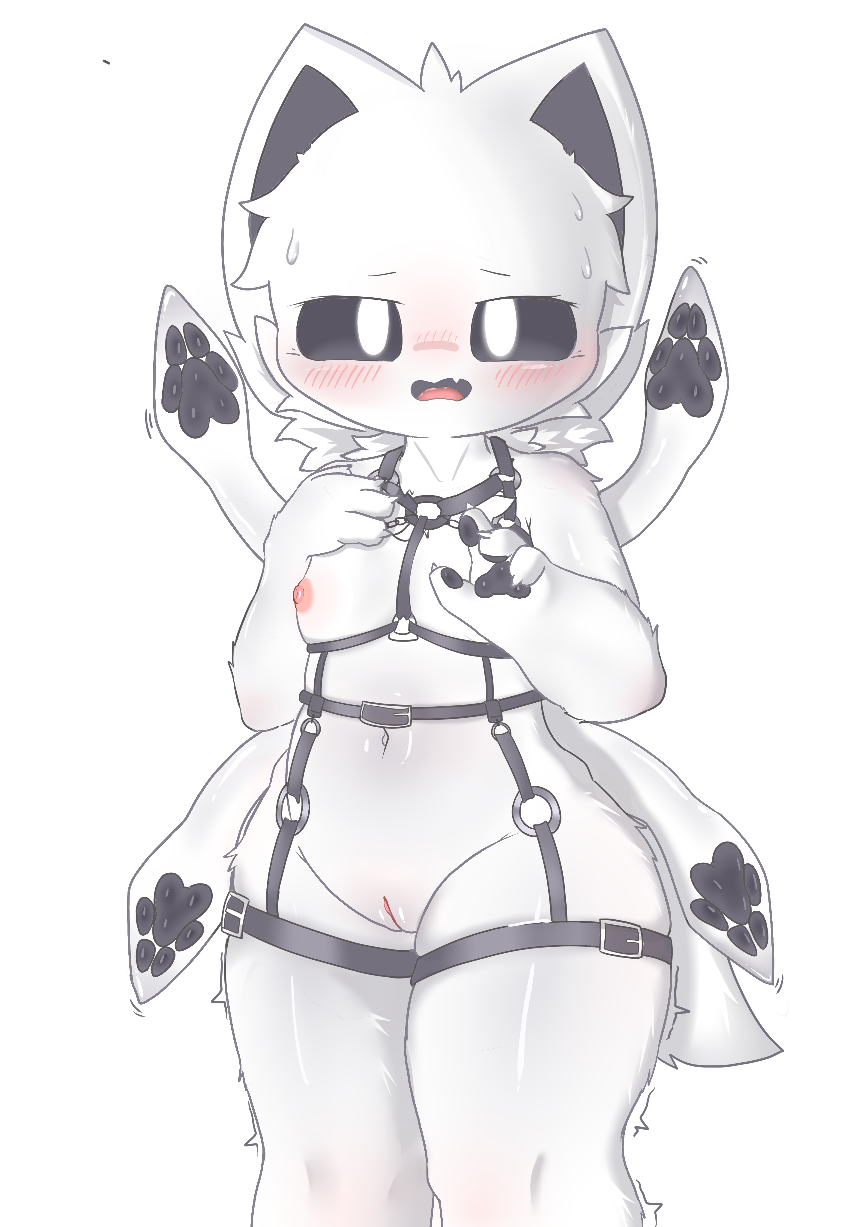Squid Dog (Changed) Rule 34 Image