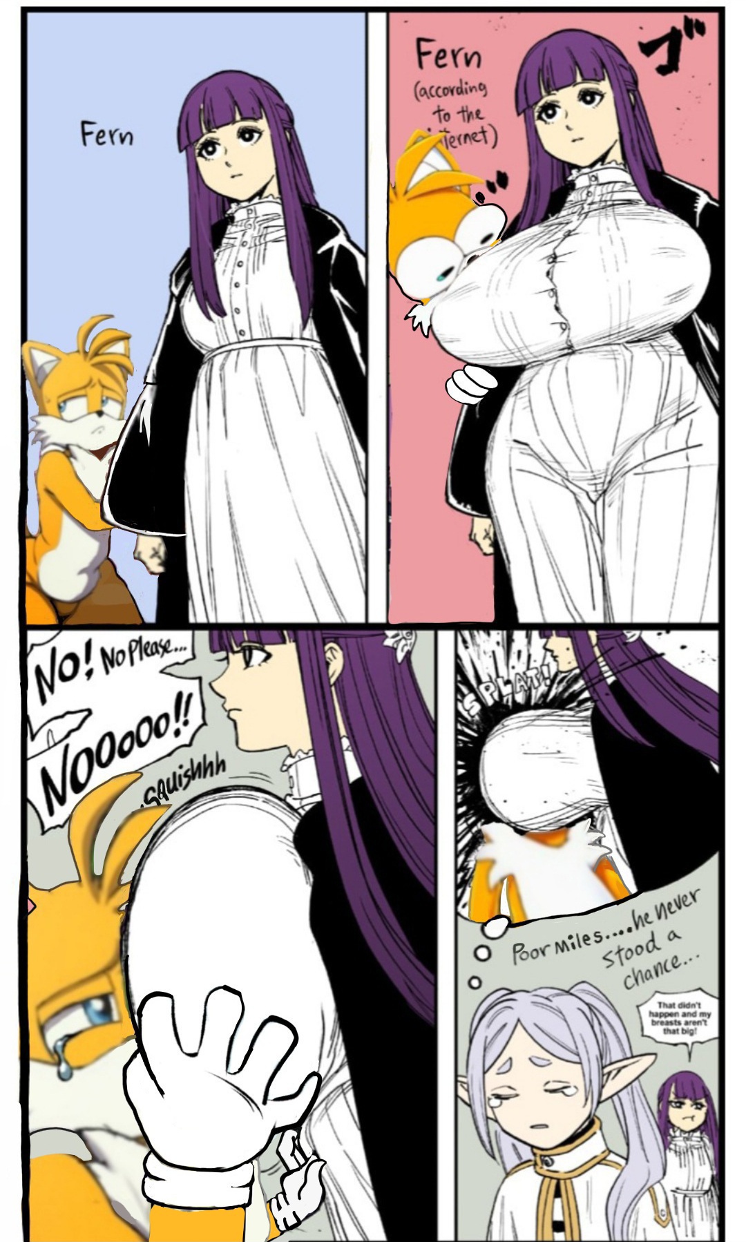 Fern (Sousou No Frieren) Rule 34 Image