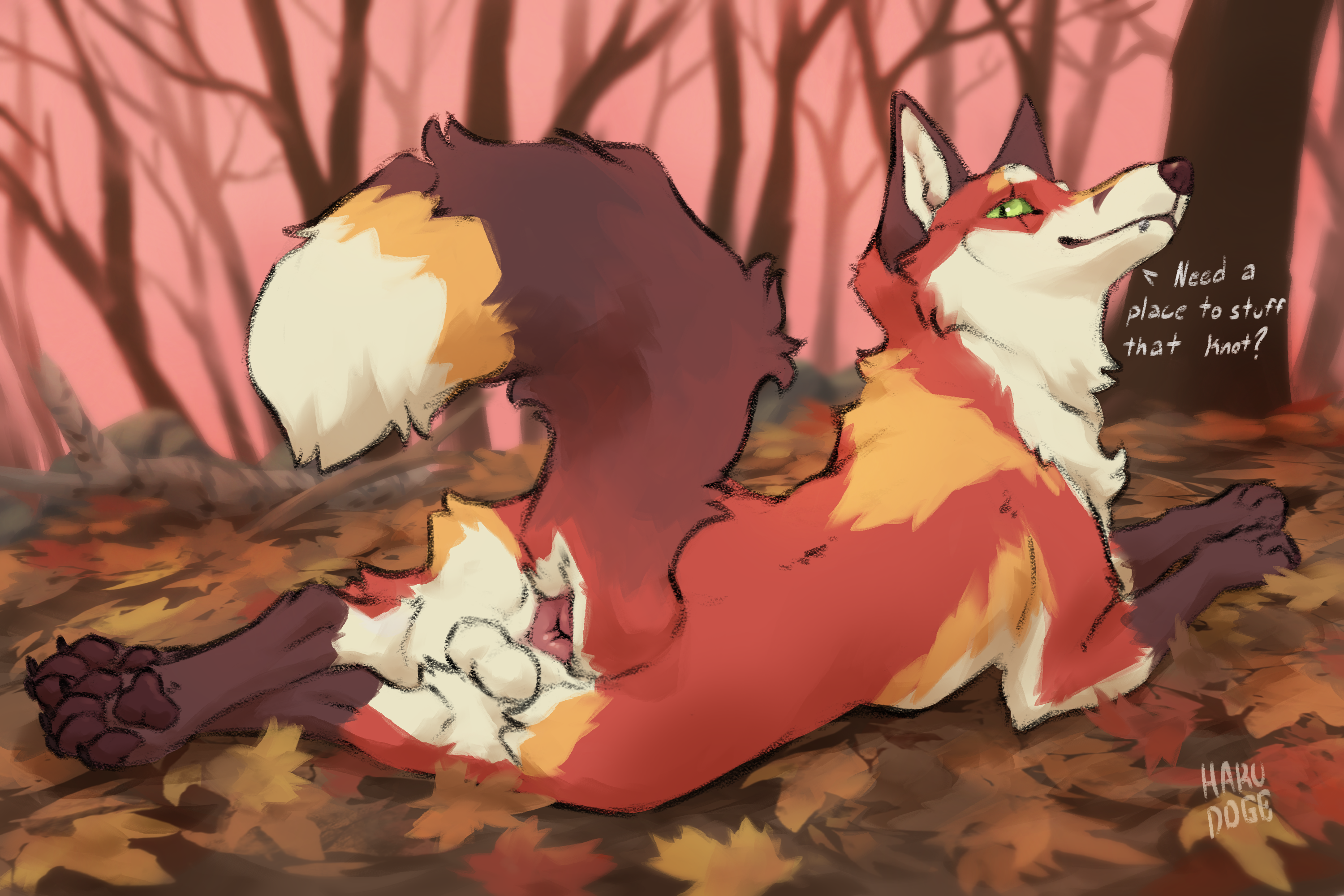 Socks (Marking) Rule 34 Image