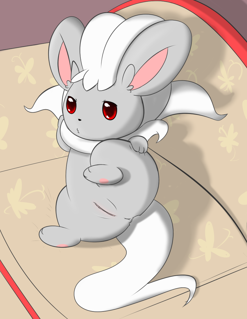 Cinccino (Nintendo) Rule 34 Image