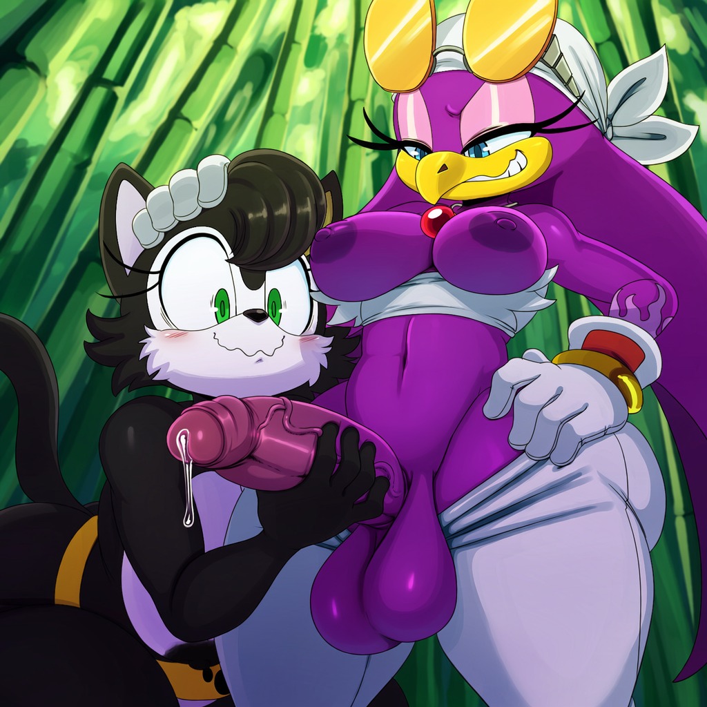 Sonic (Series) Rule 34 Image