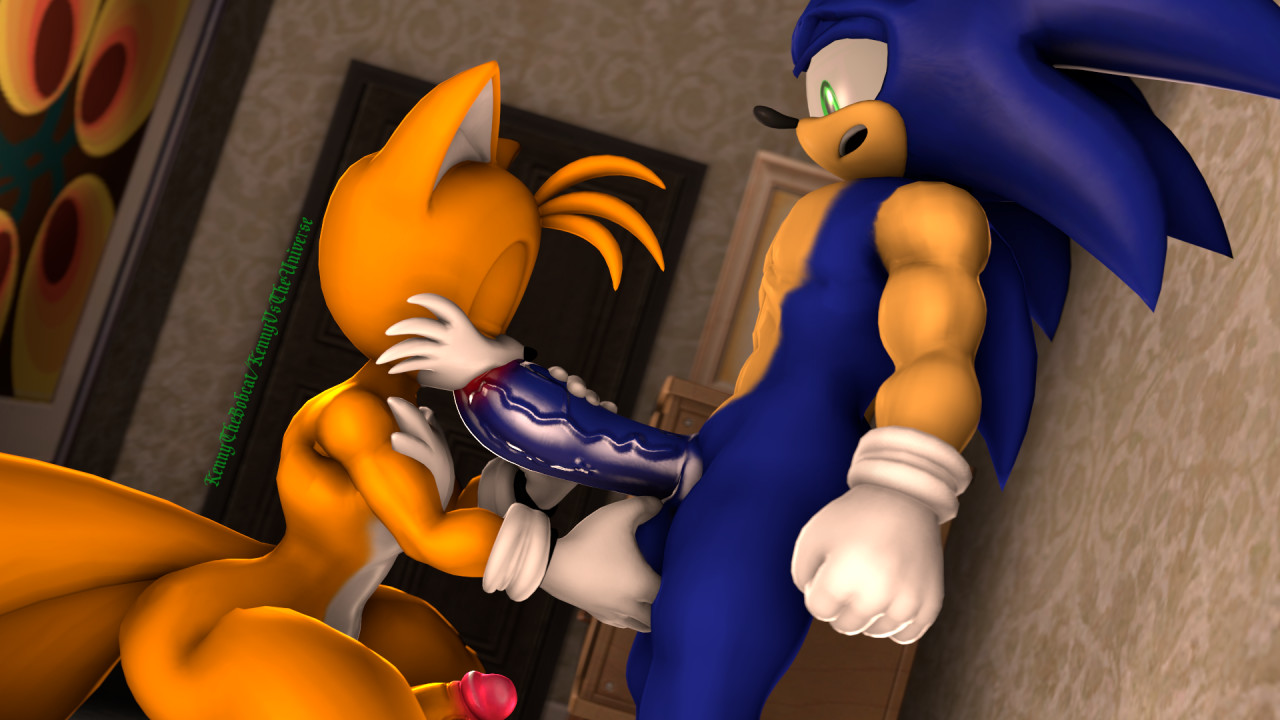 Miles Prower (Sega) Rule 34 Image