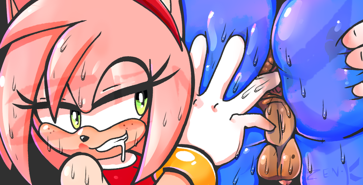 Amy Rose (Sonic (Series)) Rule 34 Image