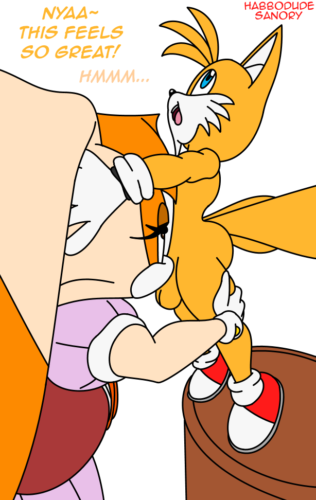 Tails The Fox (Sonic (Series)) Rule 34 Image