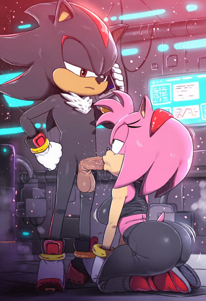 Amy Rose (Sonic (Series)) Rule 34 Image