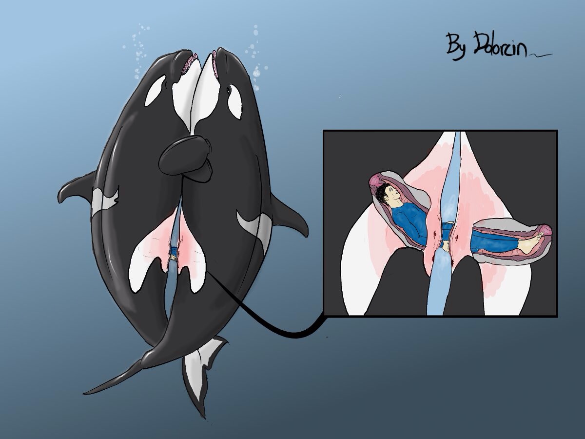 Dolorcin Rule 34 Image