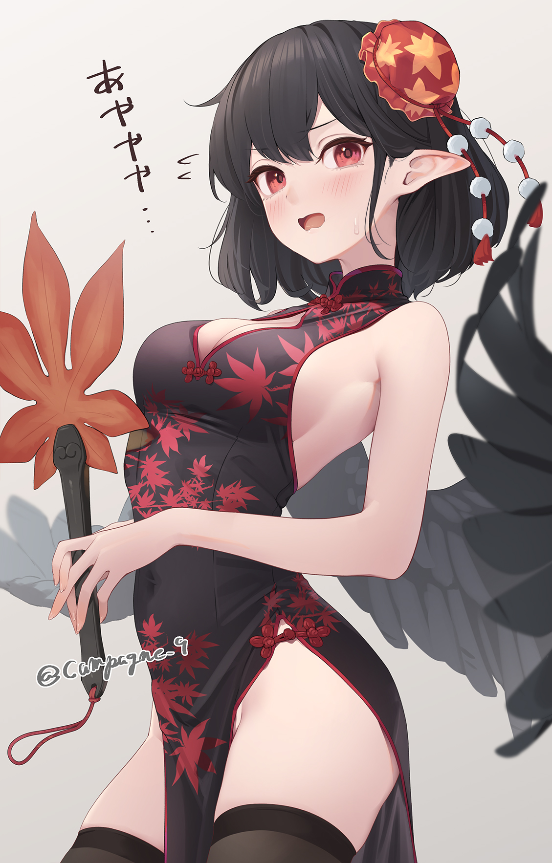 Shameimaru Aya (Touhou) Rule 34 Image