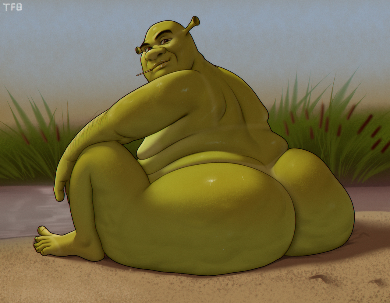Shrek (Dreamworks) Rule 34 Image