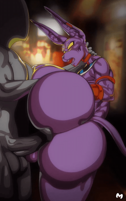 Beerus (Dragon Ball) Rule 34 Image