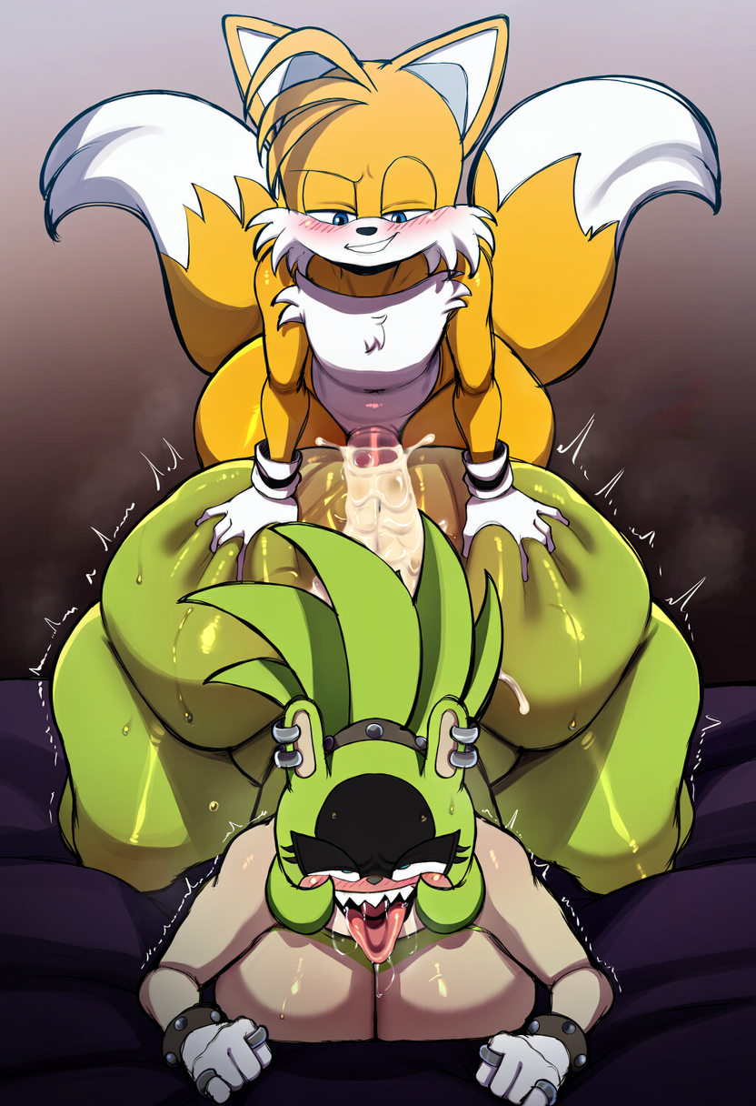 Miles Prower (Sonic (Series)) Rule 34 Image