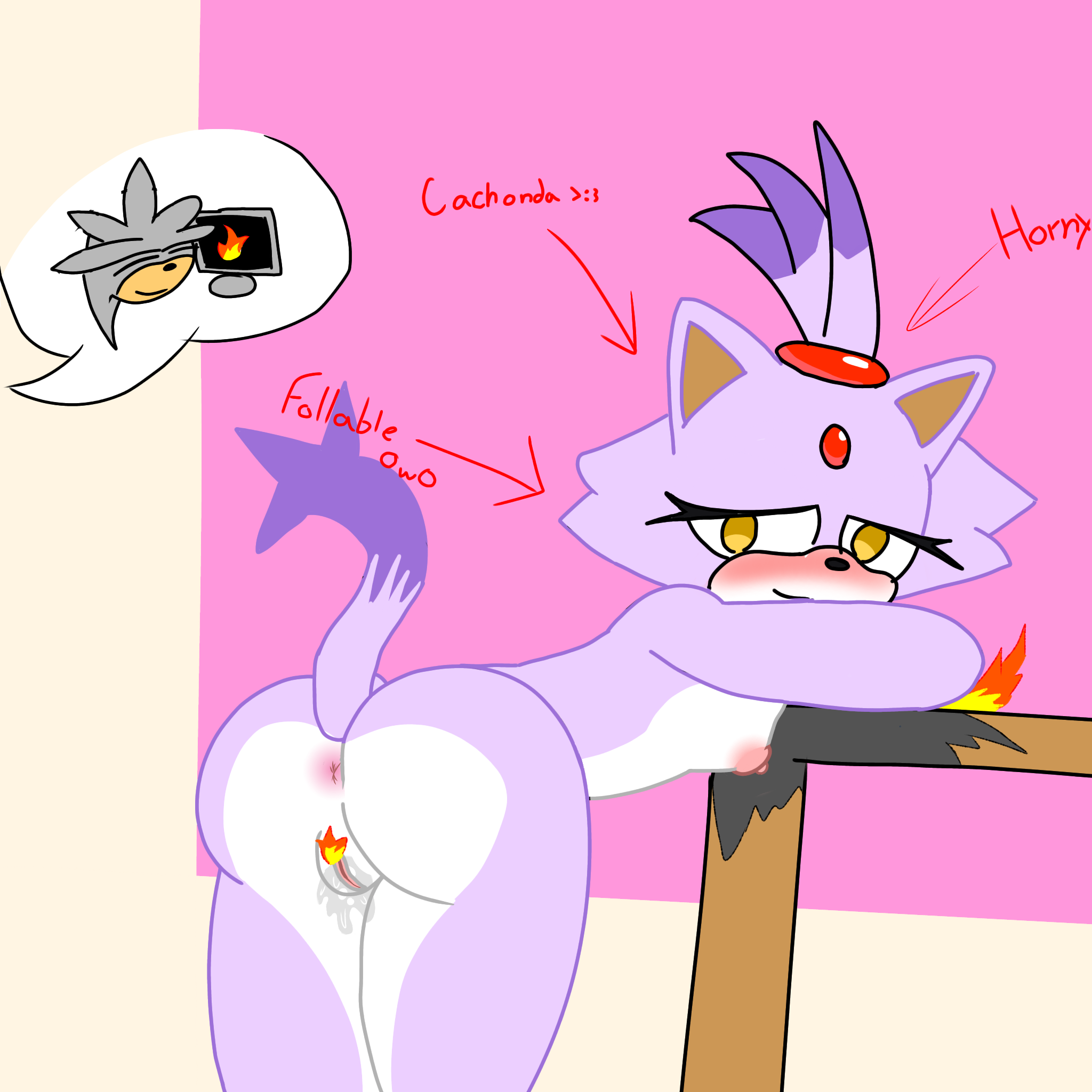 Blaze The Cat (Sega) Rule 34 Image