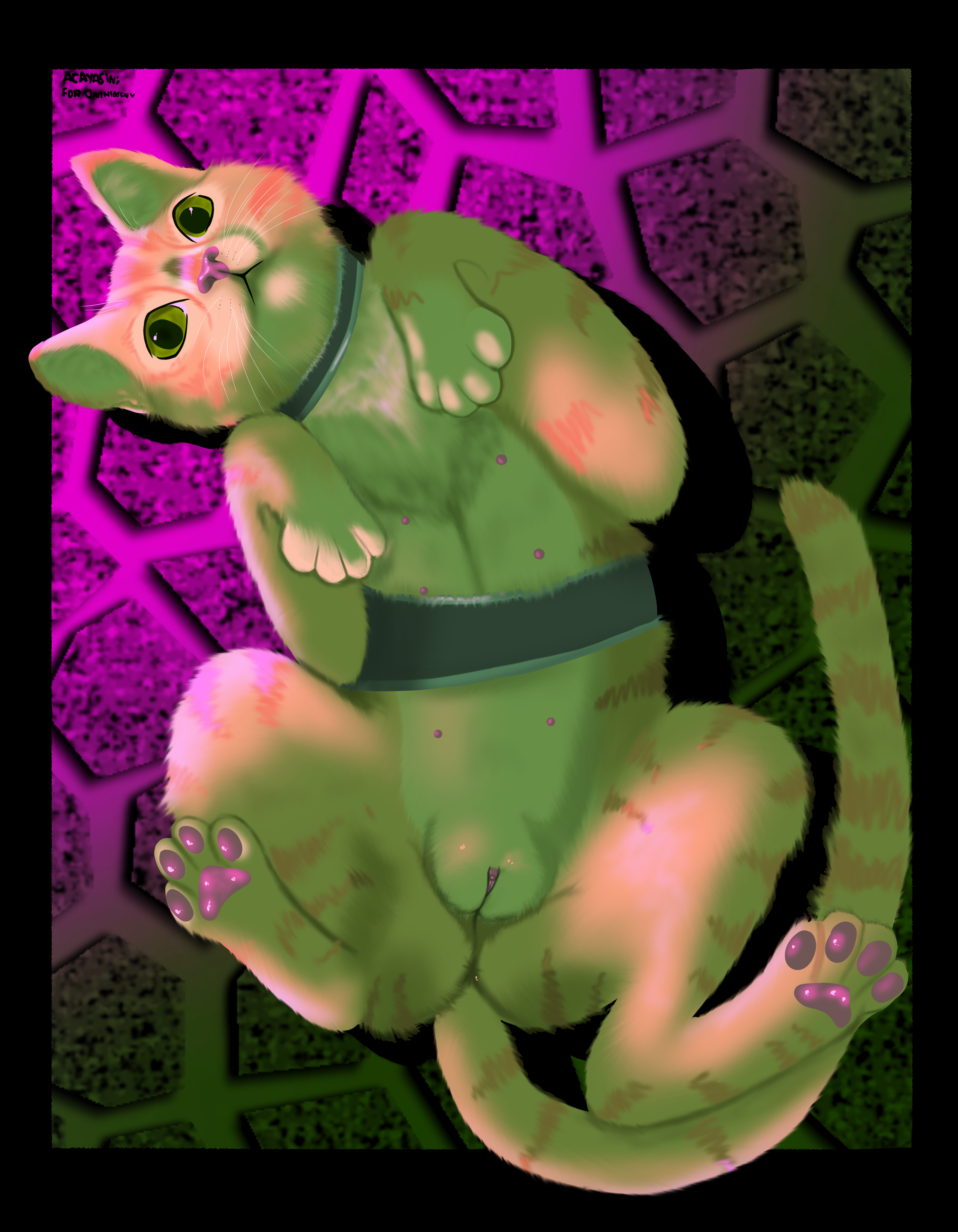 Murtaugh (Stray) Rule 34 Image