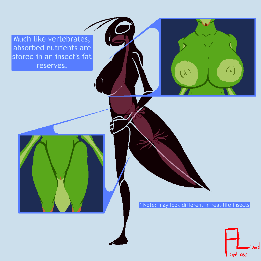 After Vore Rule 34 Image