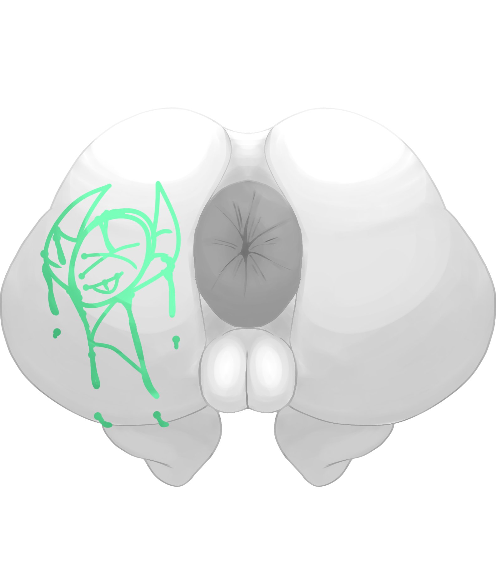 Rea (Jong1725546) Rule 34 Image