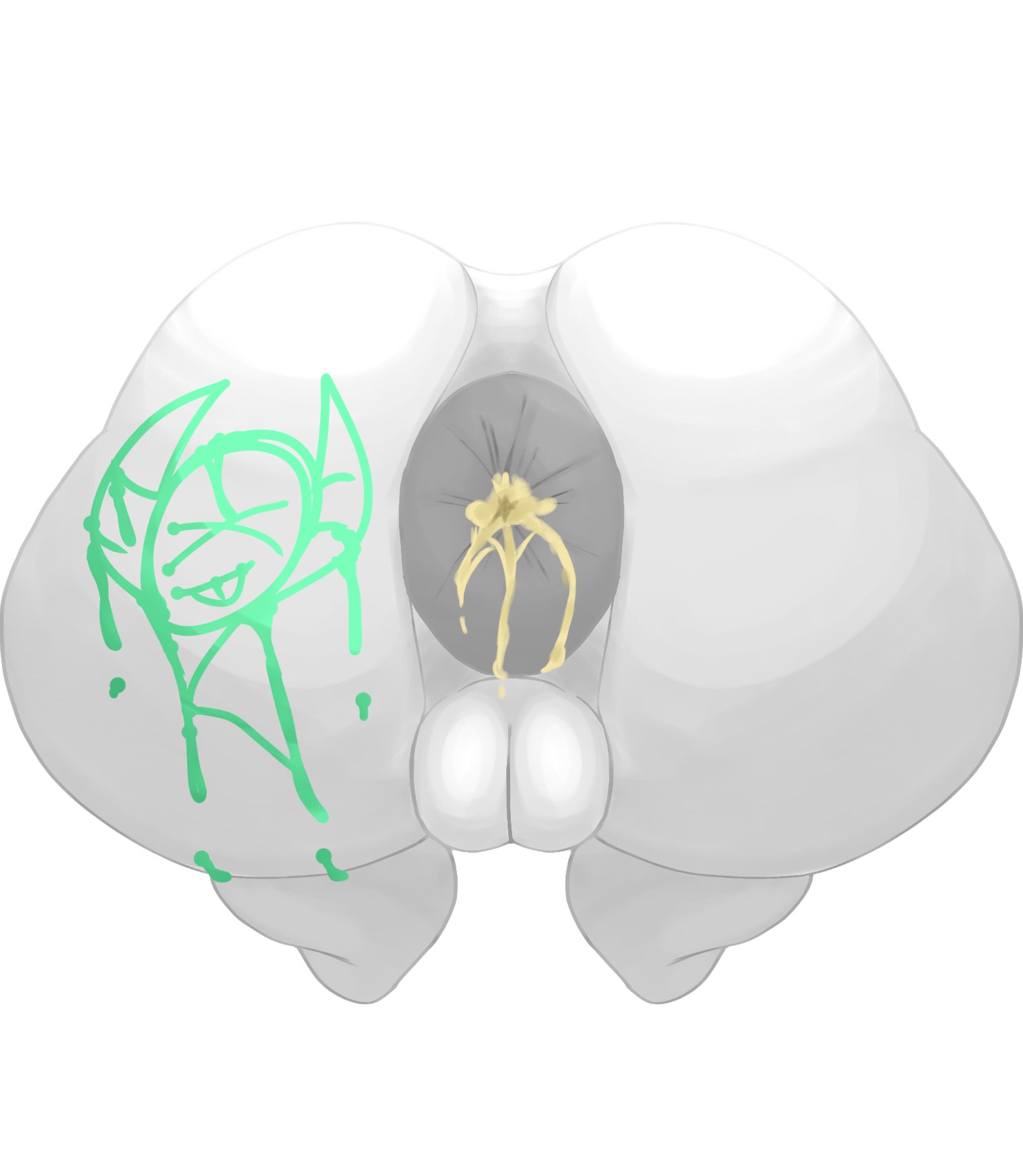 Rea (Jong1725546) Rule 34 Image