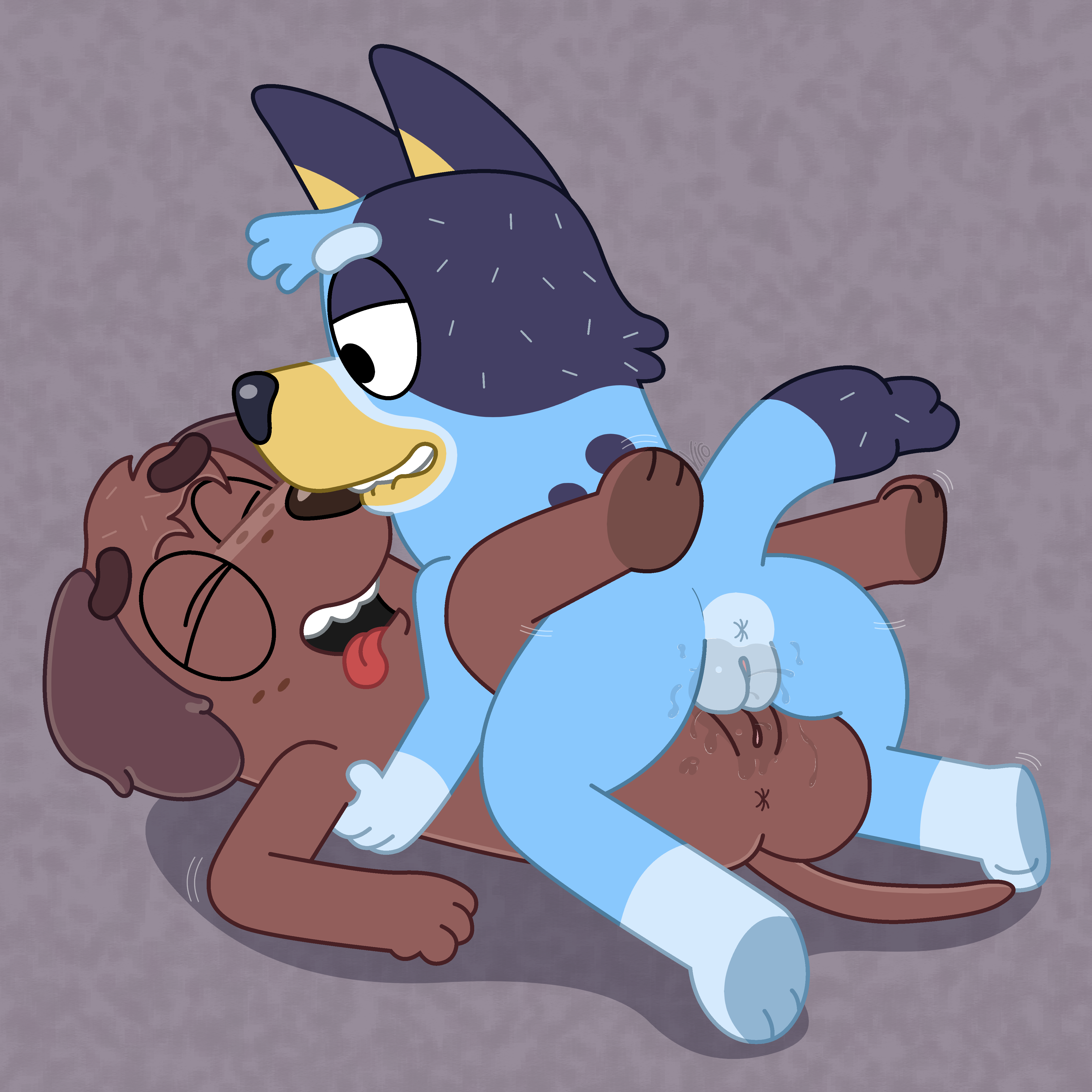 Bluey Heeler (Bluey (Series)) Rule 34 Image