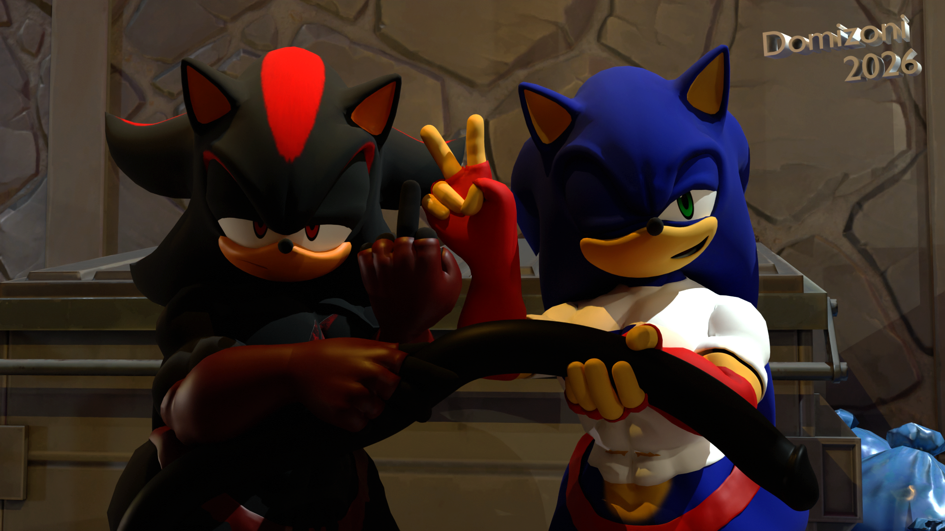 Shadow The Hedgehog (Sega) Rule 34 Image