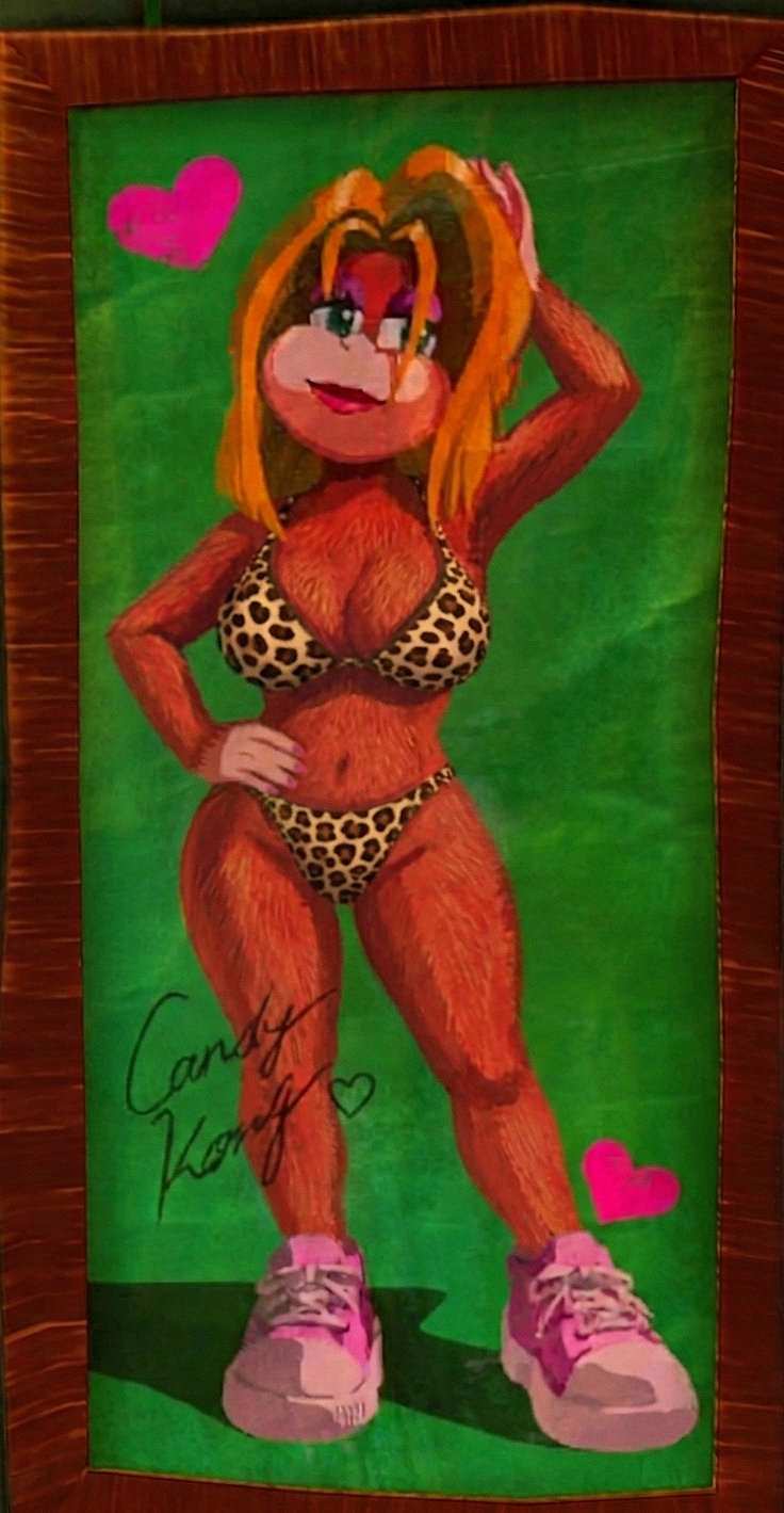Candy Kong (Donkey Kong (Series)) Rule 34 Image